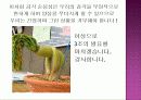 감각 순응성 (sensory adaptation) 5페이지