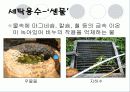 세제와 세탁 8페이지