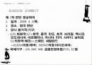 G20 정상회의 38페이지
