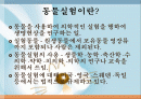 동물실험-부정적 견해 2페이지