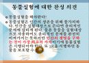 동물실험-부정적 견해 4페이지