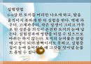 동물실험-부정적 견해 6페이지