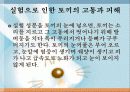 동물실험-부정적 견해 7페이지