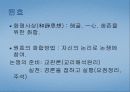 한국, 일본 불교 15페이지