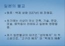 한국, 일본 불교 24페이지