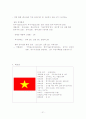 다국적기업론- 우리나라 다국적기업의 현황과 해외진출전략 21페이지