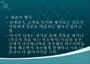 러시아 겨울 축제&과천 한마당 축제 9페이지