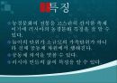 러시아 겨울 축제&과천 한마당 축제 12페이지