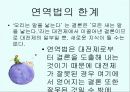 말과글 발표 7페이지