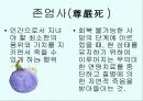말과글 발표 10페이지