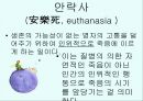 말과글 발표 11페이지