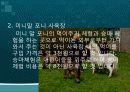 관광 축산 모식도 7페이지