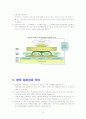 일본의 경제발전, 성장 25페이지