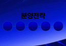 분양마케팅세부전략 1페이지