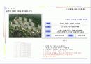 부산시시장보고서 10페이지