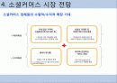 소셜커머스 시장 분석 및 장단점, 현재 동향, 시장 전망 분석 29페이지