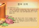 중국의 음식 문화의 특징 요리 분류 31페이지
