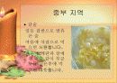 중국의 음식 문화의 특징 요리 분류 35페이지