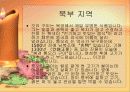 중국의 음식 문화의 특징 요리 분류 37페이지