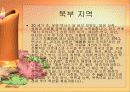 중국의 음식 문화의 특징 요리 분류 42페이지