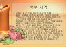 중국의 음식 문화의 특징 요리 분류 44페이지