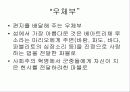 일 포스티노 Il Postino 22페이지