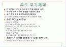 현대전의 양상 - 무기체계 중심으로 종류별 개념 8페이지