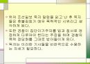 여러 이론을 통해 본 촛불집회 11페이지