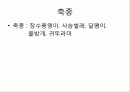 관광축산 곤충하우스 2페이지
