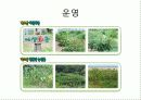 관광축산 곤충하우스 13페이지