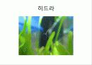 관광축산 곤충하우스 15페이지