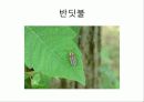 관광축산 곤충하우스 16페이지