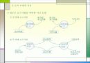 신논리모델 5페이지