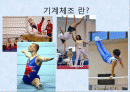 기계체조 선수의 무릎부상과 예방 2페이지