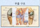 기계체조 선수의 무릎부상과 예방 3페이지