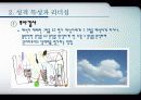 21세기 리더십 패러다임 13페이지