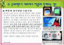 명품 소비자피해 17페이지