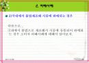 명품 소비자피해 18페이지
