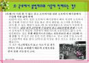 명품 소비자피해 19페이지