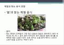 음식 궁합 22페이지