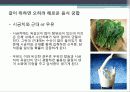 음식 궁합 42페이지