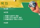 환율과국제수지(통합) 2페이지