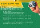 환율과국제수지(통합) 9페이지