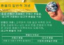 환율과국제수지(통합) 12페이지