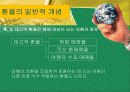 환율과국제수지(통합) 13페이지