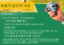 환율과국제수지(통합) 17페이지
