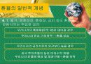 환율과국제수지(통합) 20페이지