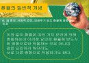 환율과국제수지(통합) 22페이지