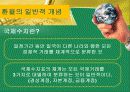 환율과국제수지(통합) 23페이지