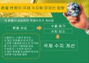 환율과국제수지(통합) 25페이지